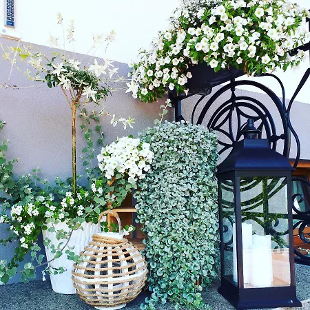 Klabuk 홈스테이 *