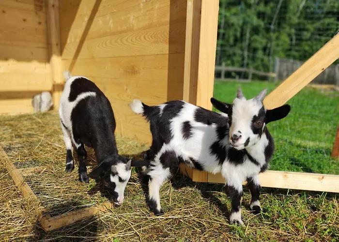 Klabuk ホームステイ ビャウカ